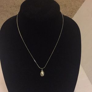 Seashell Necklace